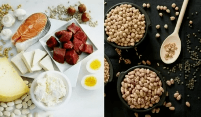 Examples of protein diet products